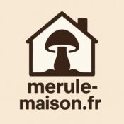 Logo du site merule-maison.fr représentant une maison avec un champignon, dédié à l’information sur la mérule, son diagnostic et le traitement de la mérule dans les habitations.